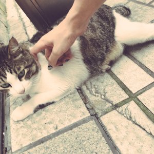 久久国产小视频
