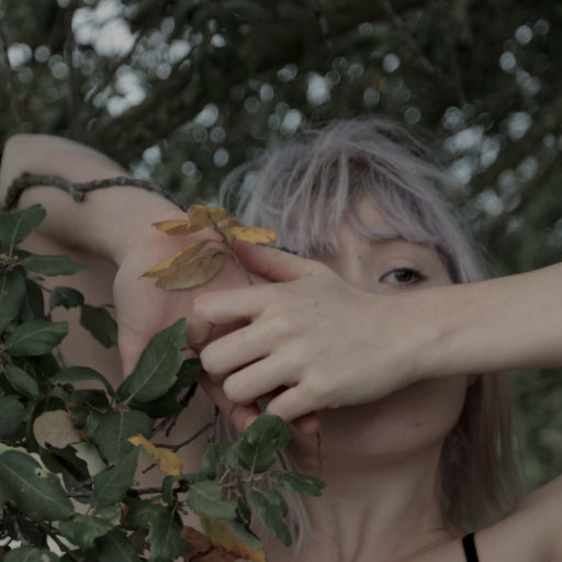 久久国产小视频
